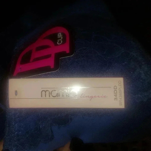 NWT Mamia Intimates Blue Adjustable Lace Detail Everyday Underwire Bra Size 34DD - Picture 6 of 7